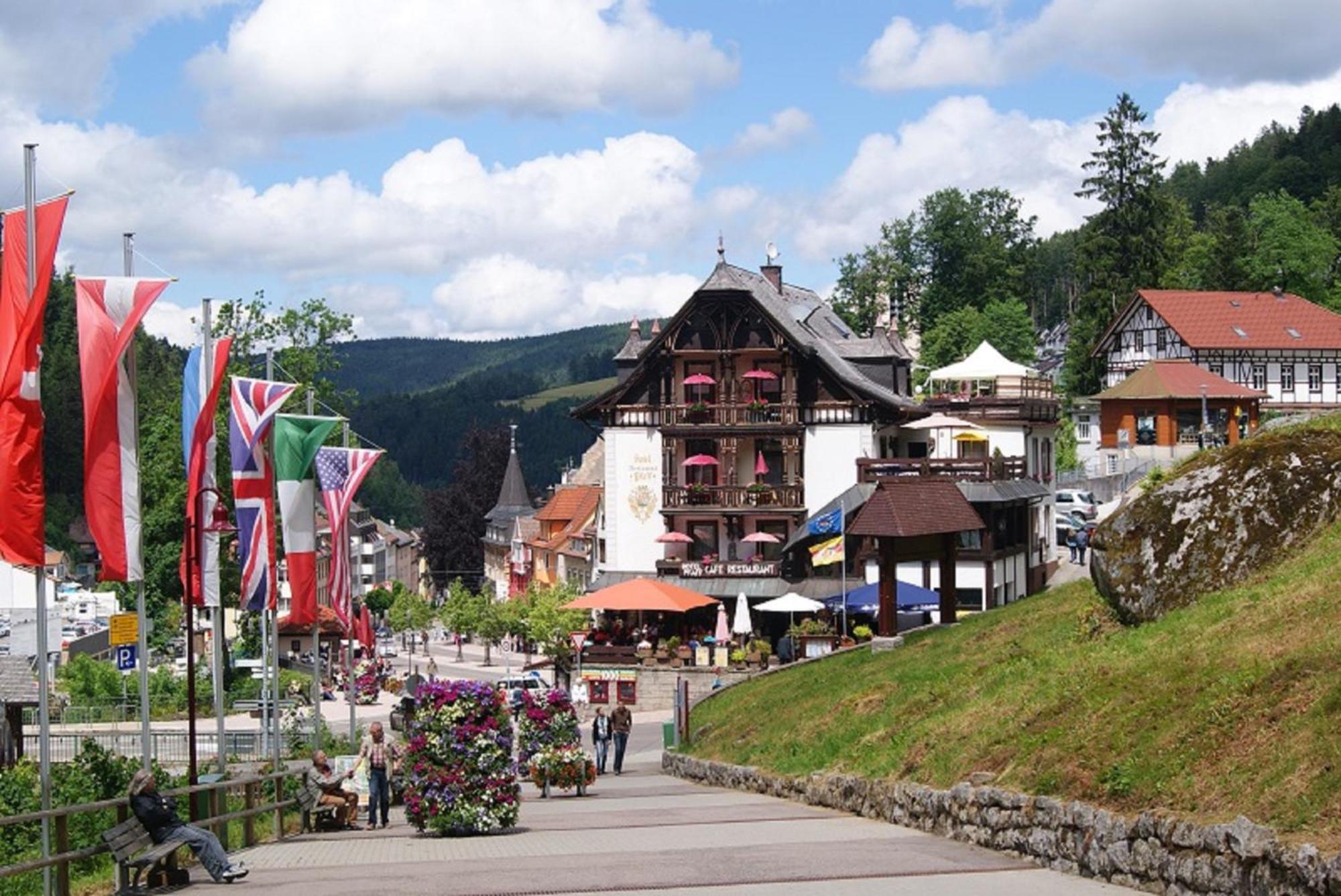 Rita - Atemberaubenden Wasserfaelle Triberg im Schwarzwald Екстер'єр фото