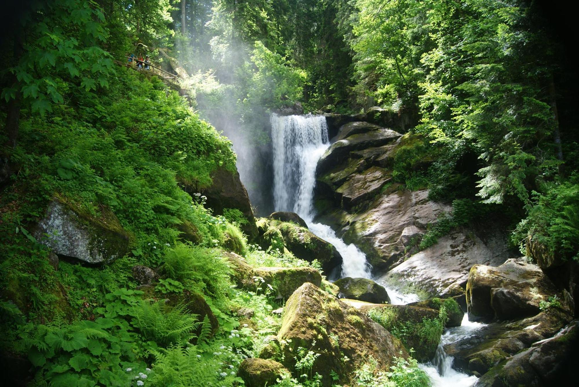 Rita - Atemberaubenden Wasserfaelle Triberg im Schwarzwald Екстер'єр фото
